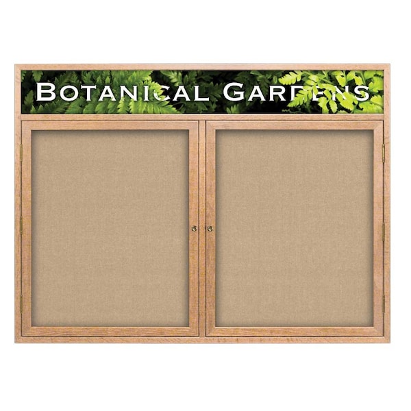 Open Faced Traditional Corkboard, 60x36"